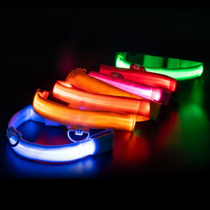 Luxury LED Dog Collar