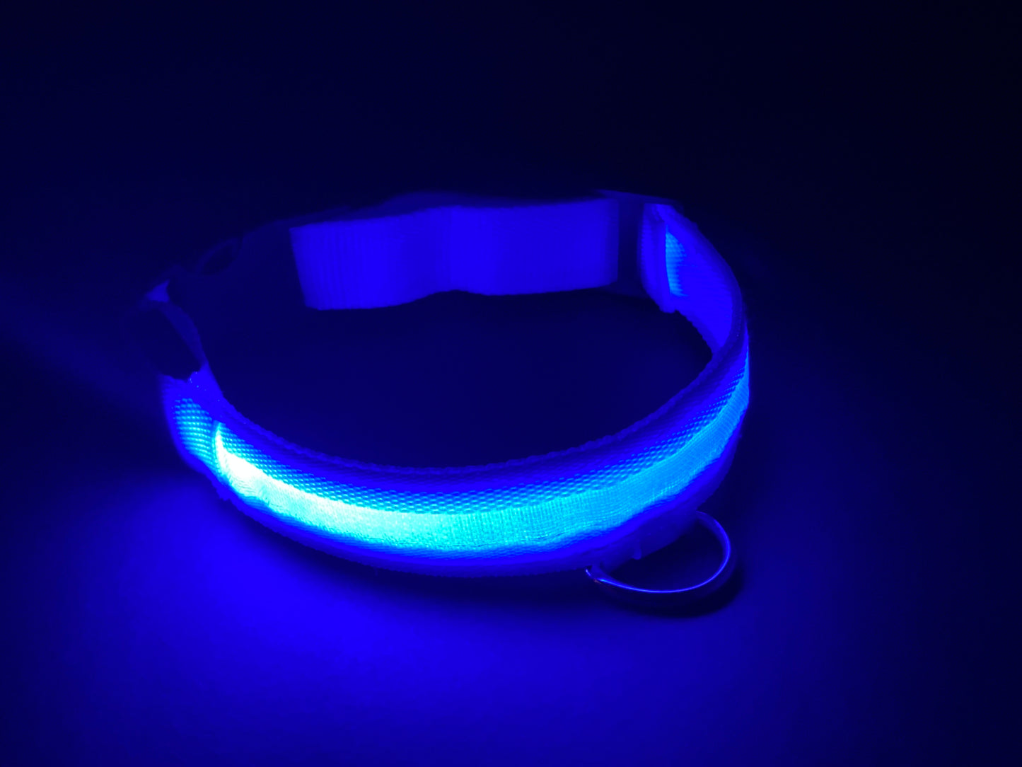 Luxury LED Dog Collar